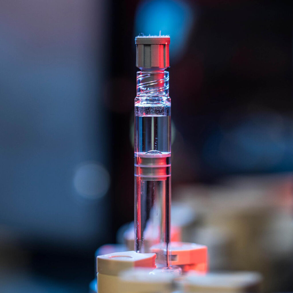 MD ZUR Web Case KOE 220421 msi 10