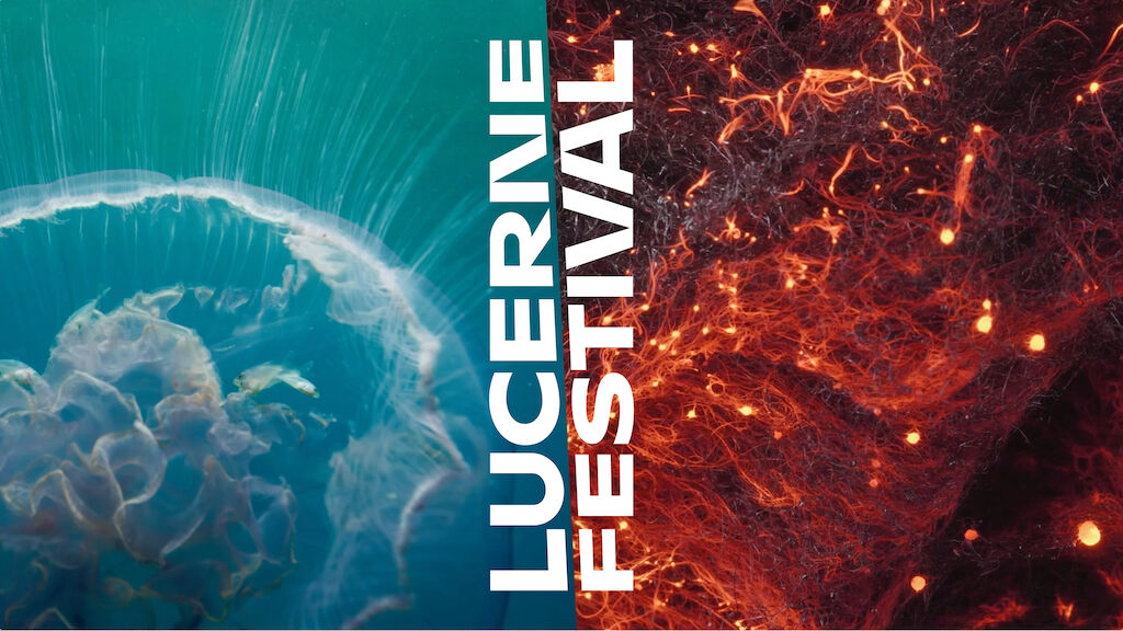 MD ZUR Web Case LFE 221103 19