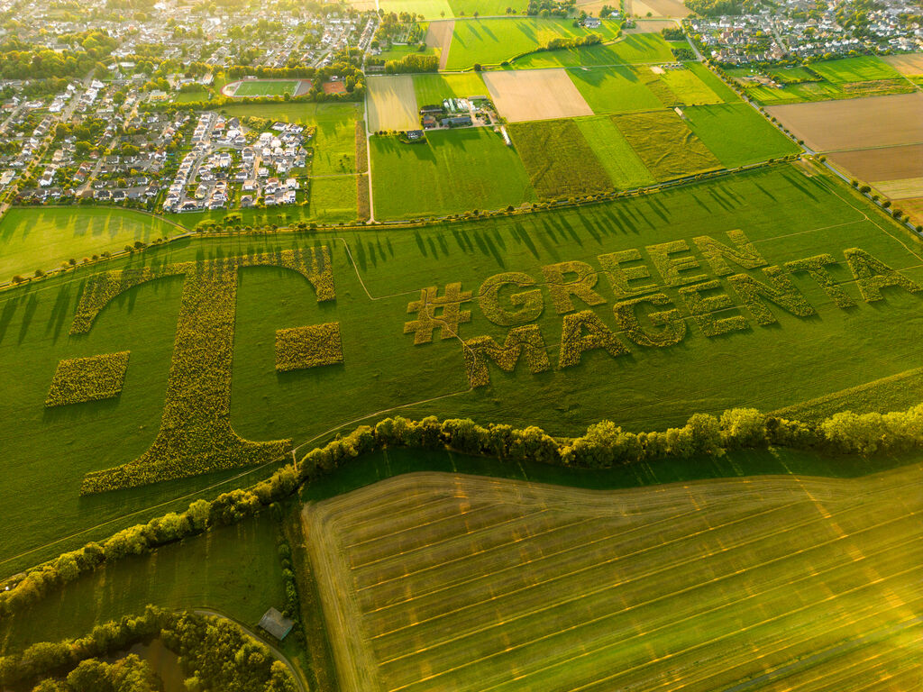 Magenta Blossom 23 8 2023 7 von 66