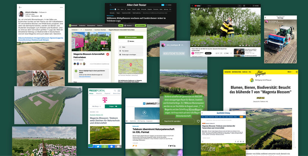 Magenta blossom Sammlung