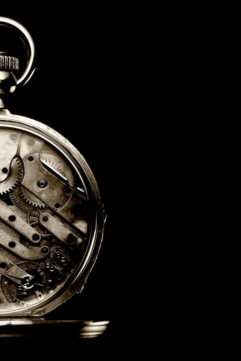 Metadesign Parmigiani Movement Visual