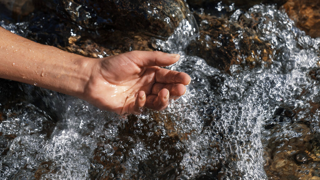 APM Case Images 240325 7